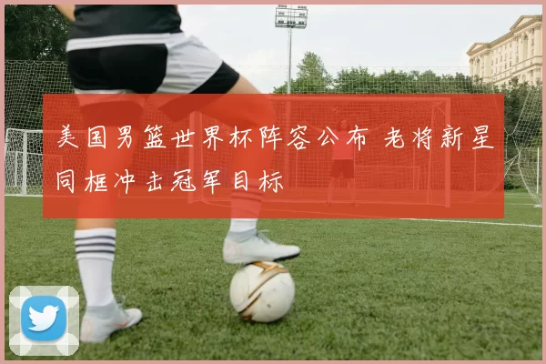 美国男篮世界杯阵容公布 老将新星同框冲击冠军目标