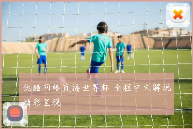 优酷网络直播世界杯 全程中文解说精彩呈现