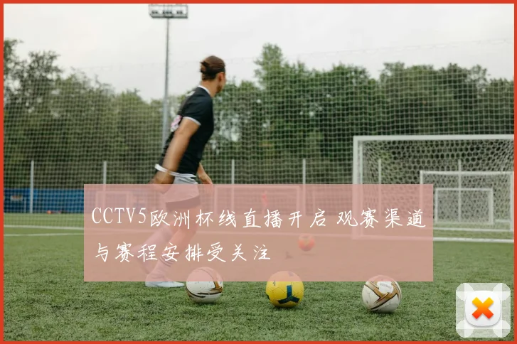 CCTV5欧洲杯线直播开启 观赛渠道与赛程安排受关注