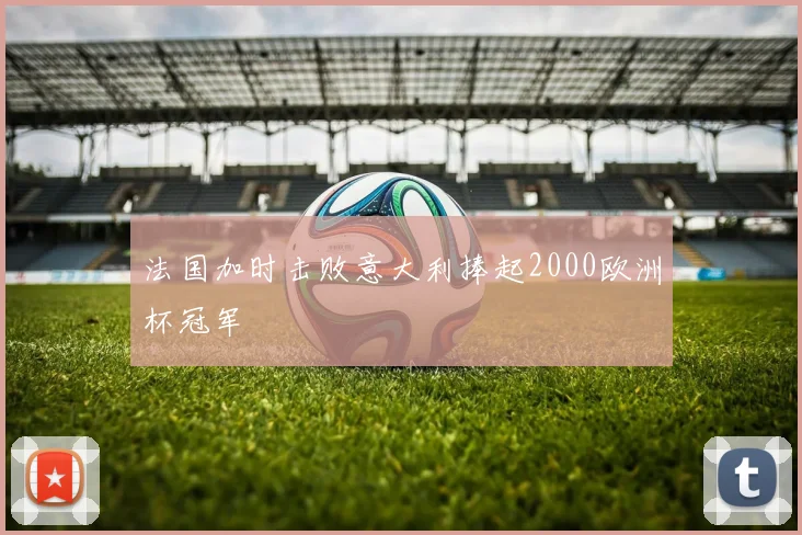 法国加时击败意大利捧起2000欧洲杯冠军